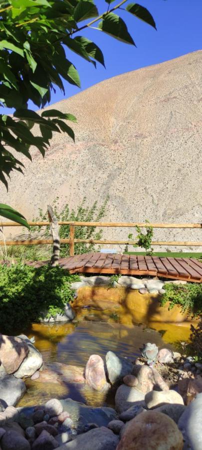 Casa Jardin De Hadas Con Vista Panoramica Pisco Elqui Exterior photo