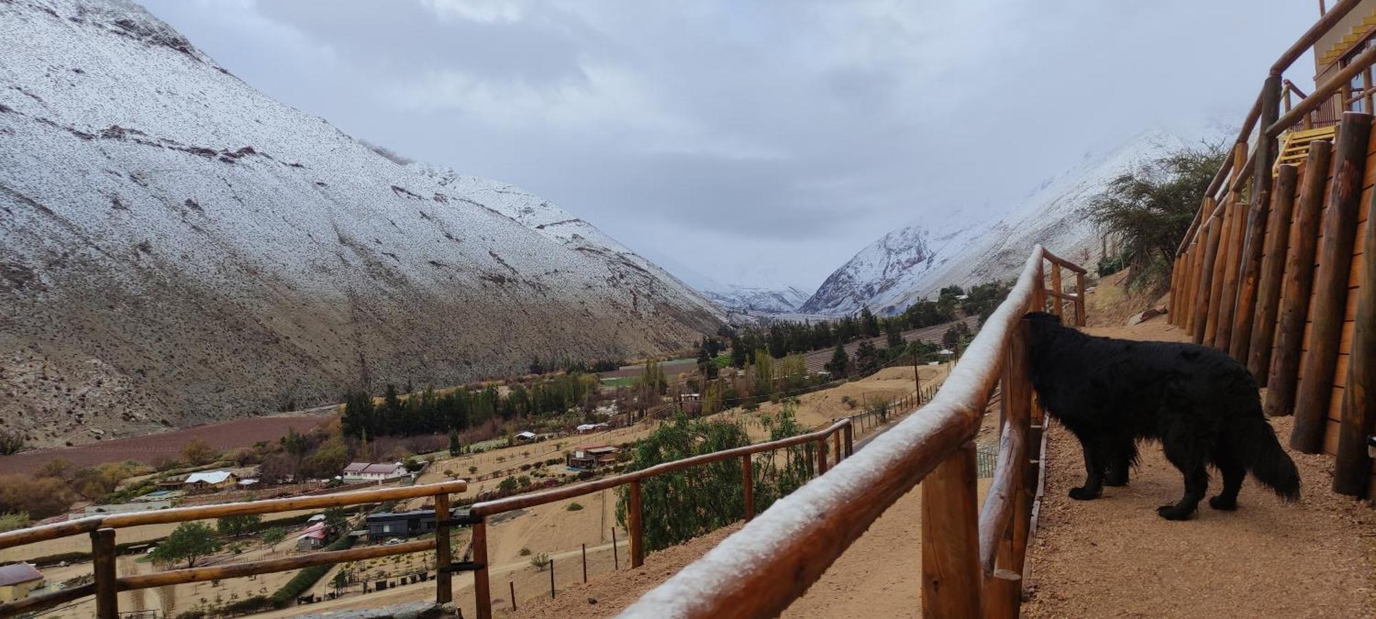 Casa Jardin De Hadas Con Vista Panoramica Pisco Elqui Exterior photo